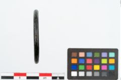 Foto von Bronzering (NHMW-PRAE-025961)